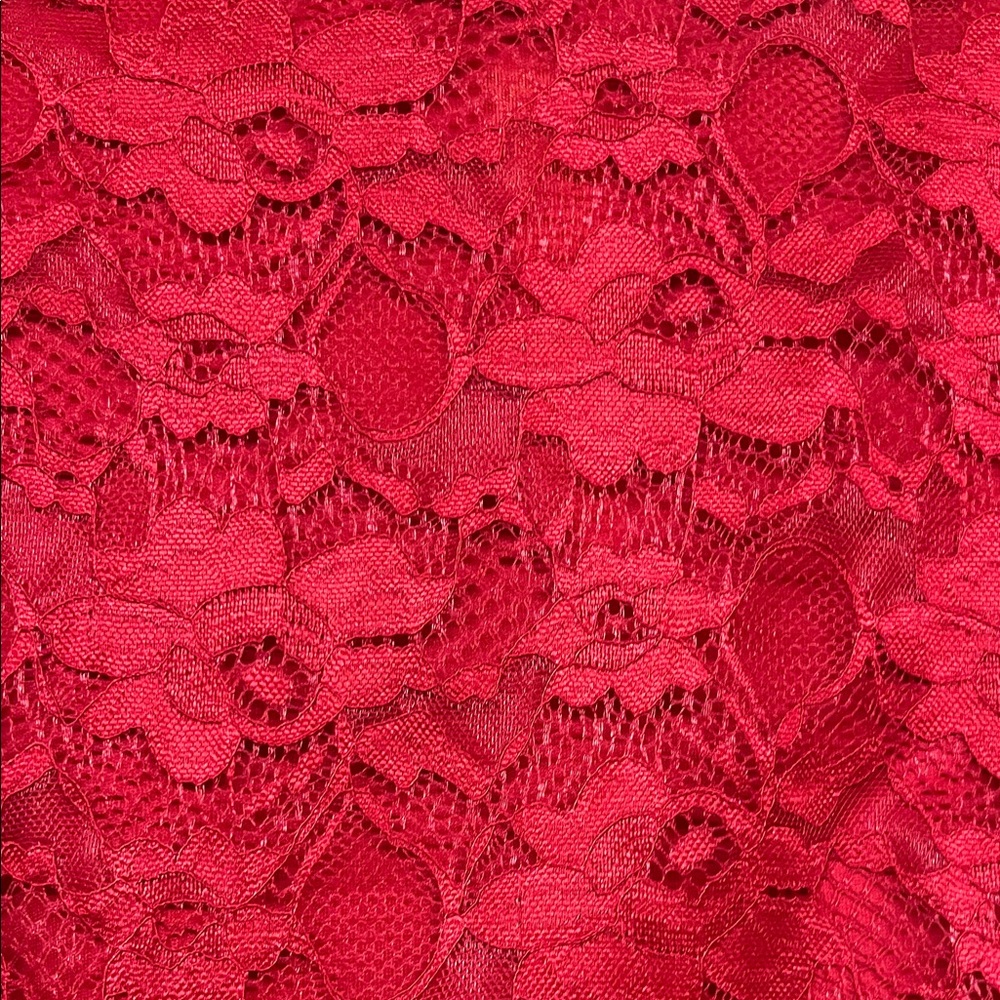 Torrid Mini Lace High Neck Skater Dress - Picture 9 of 16